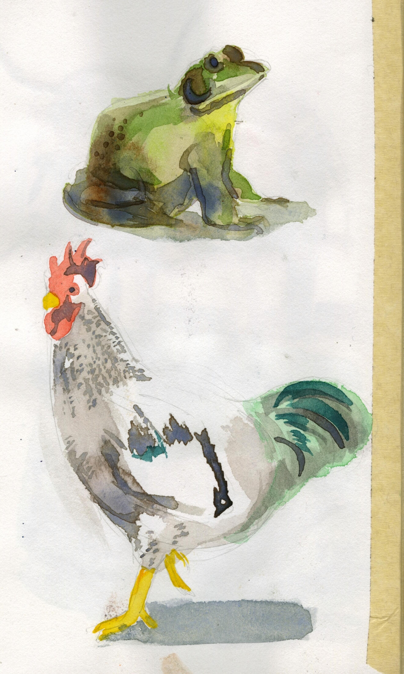 Untitled Untitled